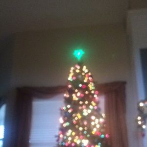 Meet your Posher, Ginger